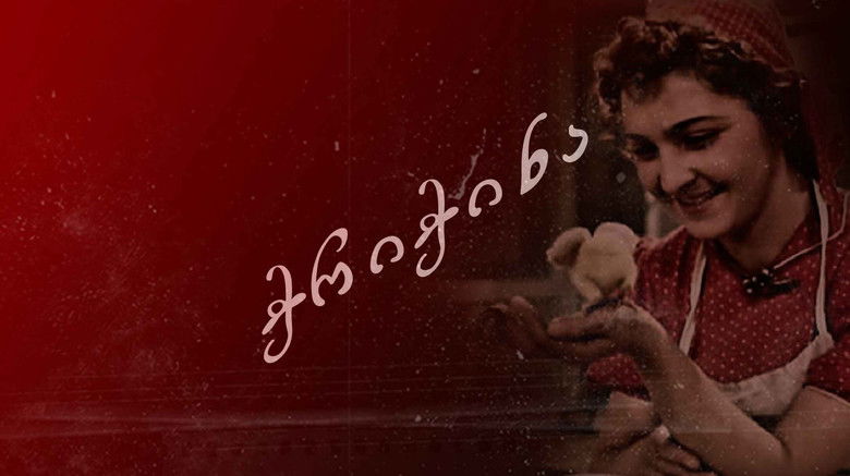 кадр из фильма Стрекоза