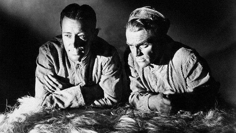 кадр из фильма Каждое утро я умираю