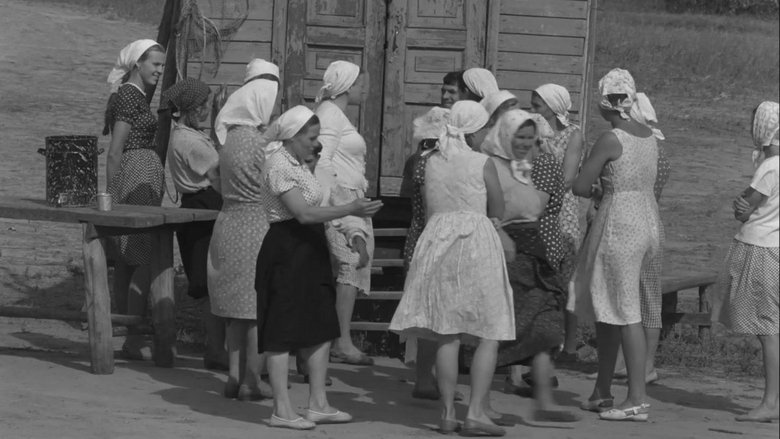 кадр из фильма История Аси Клячиной, которая любила, да не вышла замуж