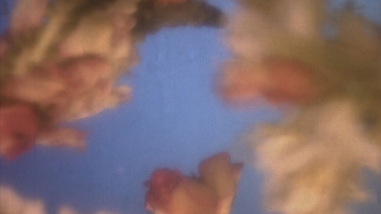 кадр из фильма Efímera Eternidad