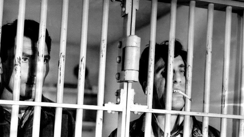 кадр из фильма House of Numbers