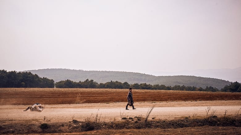 кадр из фильма Тигр, волк, кролик