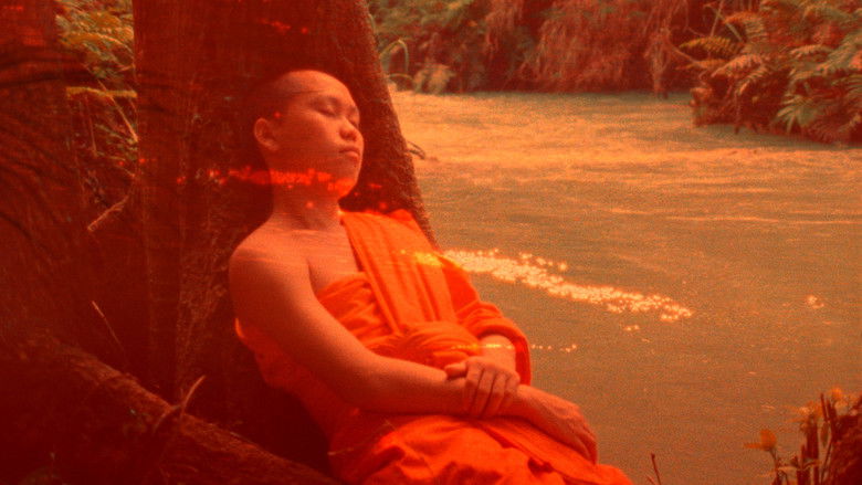 кадр из фильма Samsara