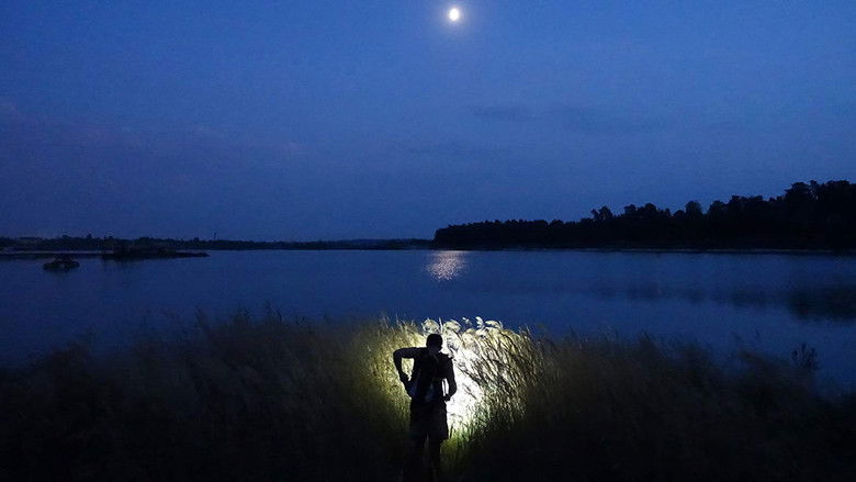 кадр из фильма Божественные