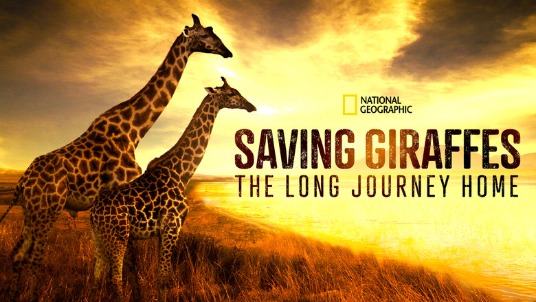 кадр из фильма Saving Giraffes: The Long Journey Home
