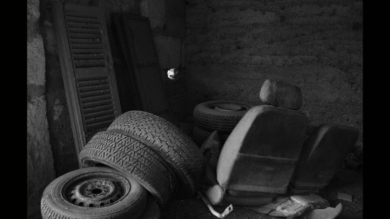 кадр из фильма S'Herba Creix