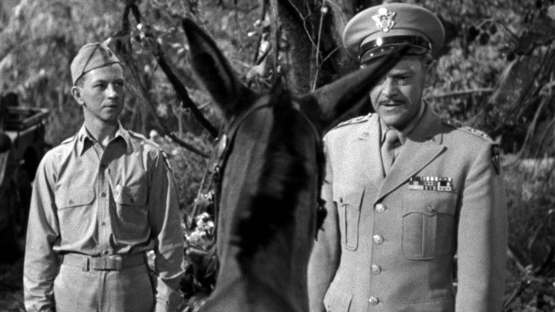 кадр из фильма Francis