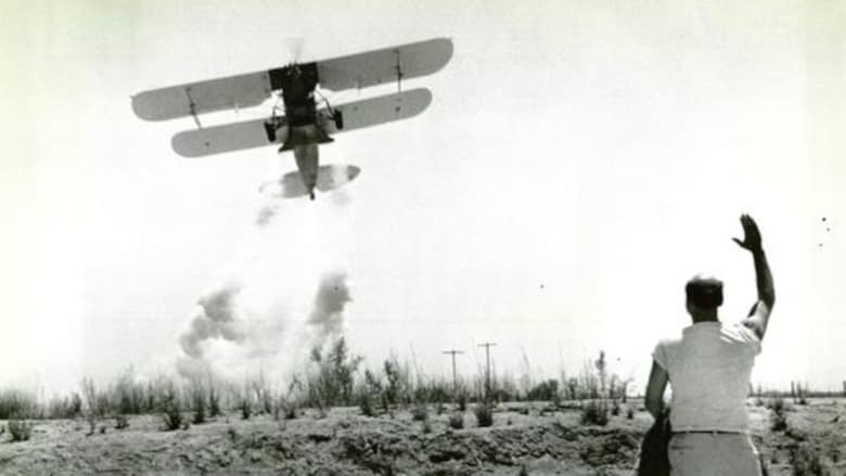 кадр из фильма No Place to Land