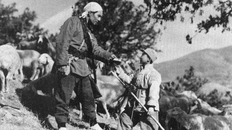 кадр из фильма Срочное письмо