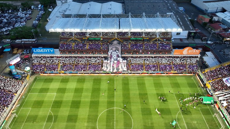 кадр из фильма Camino al Tetra