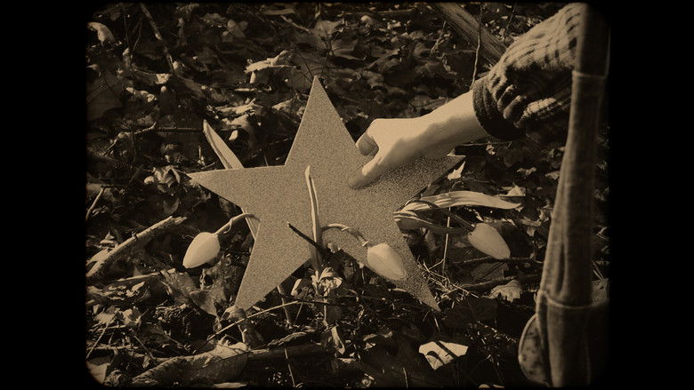 кадр из фильма Viajante 1