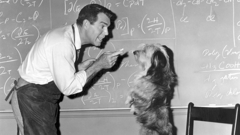 Отмороженный профессор