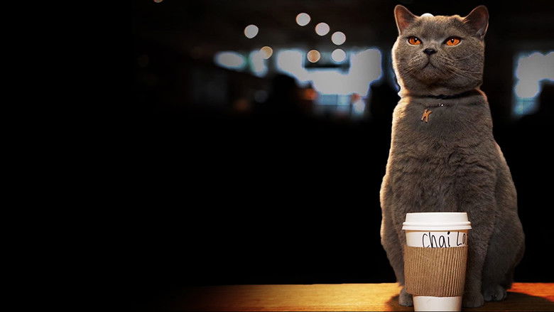 кадр из фильма Kat