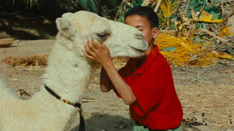 кадр из фильма Zaa, petit chameau blanc