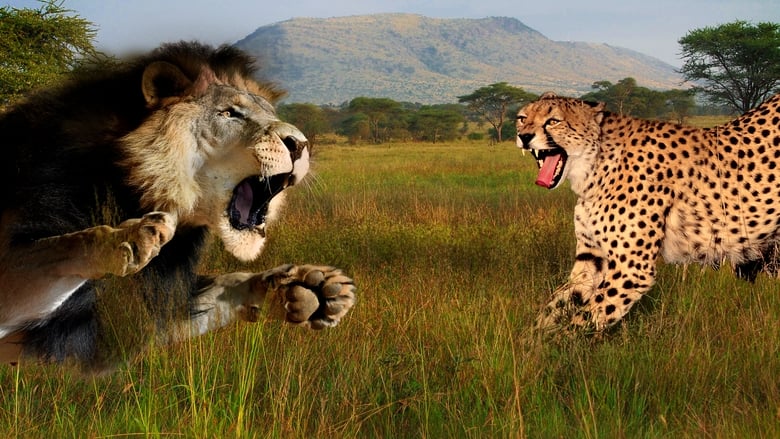 кадр из фильма Cat Wars: Lion vs. Cheetah