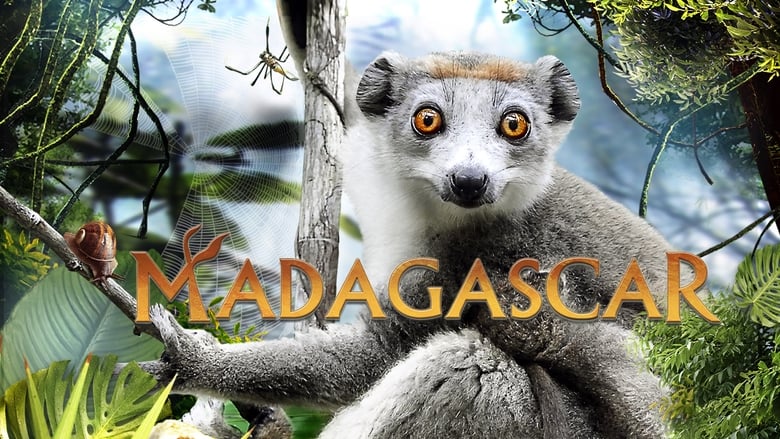 кадр из фильма Madagascar 3D