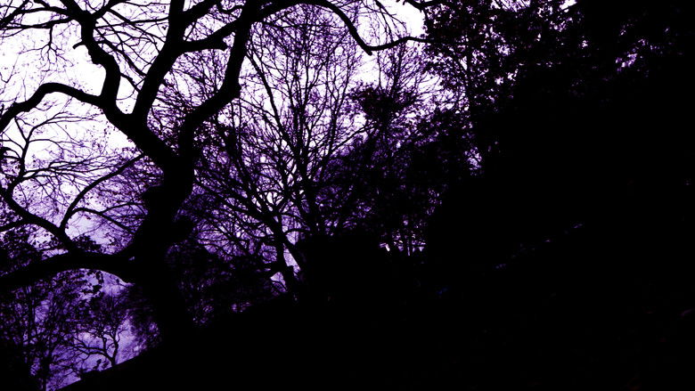 кадр из фильма Deirdre Of The Sorrows