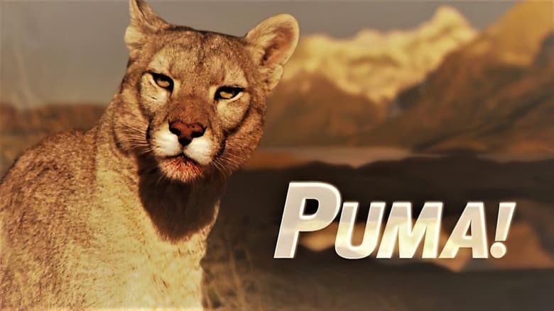 кадр из фильма Puma!