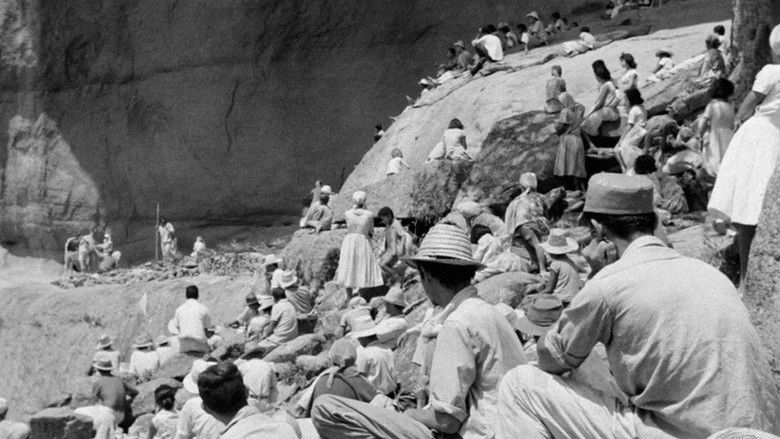 кадр из фильма Ружья