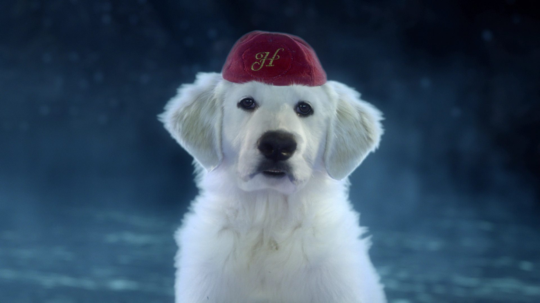 кадр из фильма В поисках Санта Лапуса