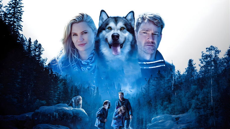 кадр из фильма Собака-герой: Путешествие домой