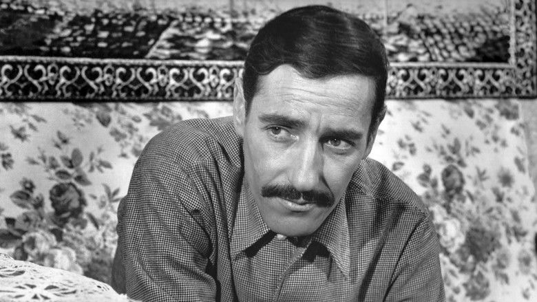 кадр из фильма Hassan Terro