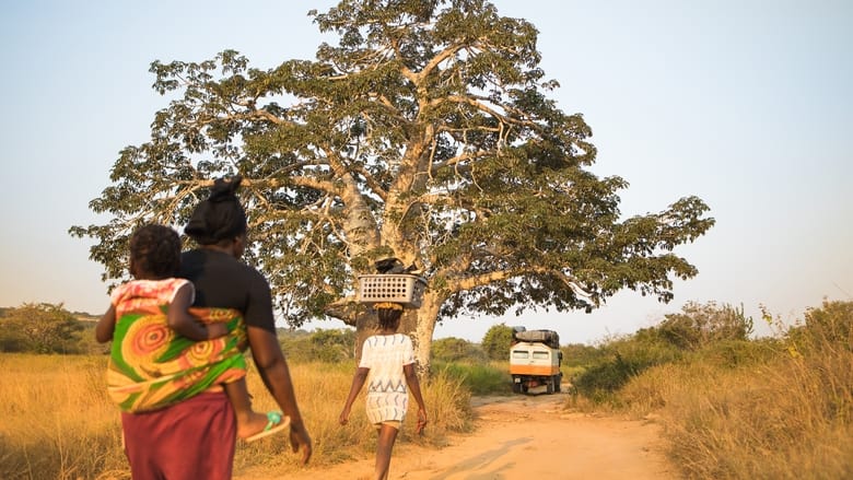 кадр из фильма Territorio Africano 2