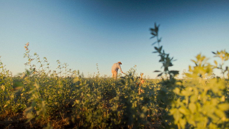 кадр из фильма Cien Años