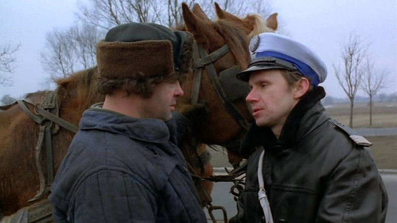 Медвежонок