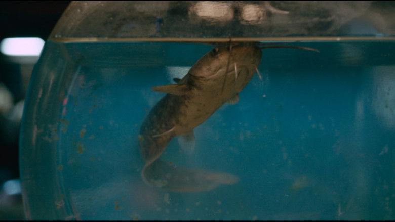 кадр из фильма アメガラス