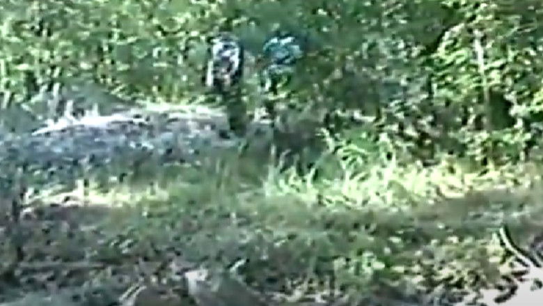 кадр из фильма Hood Doves