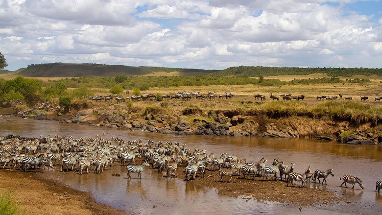 National Geographic - Africas Blood River