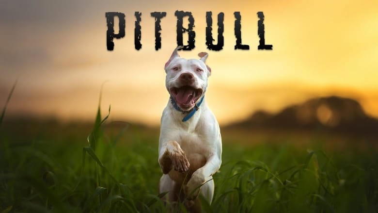 кадр из фильма Pitbull
