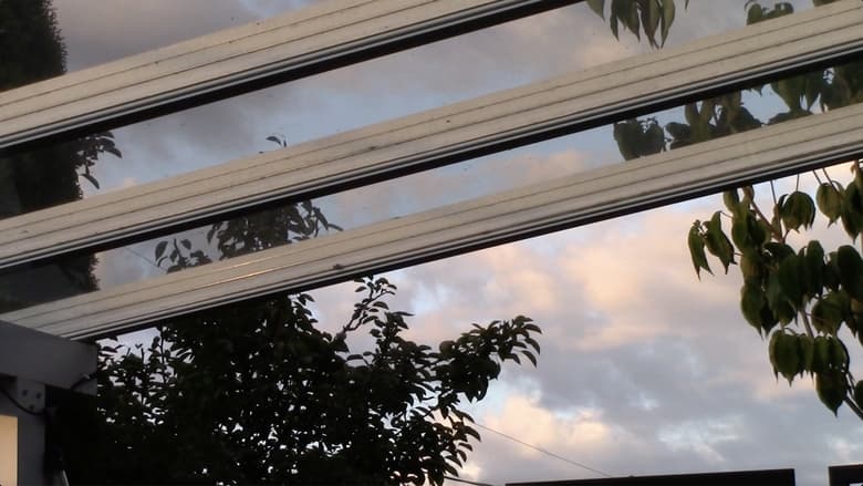 кадр из фильма Bad Frequencies