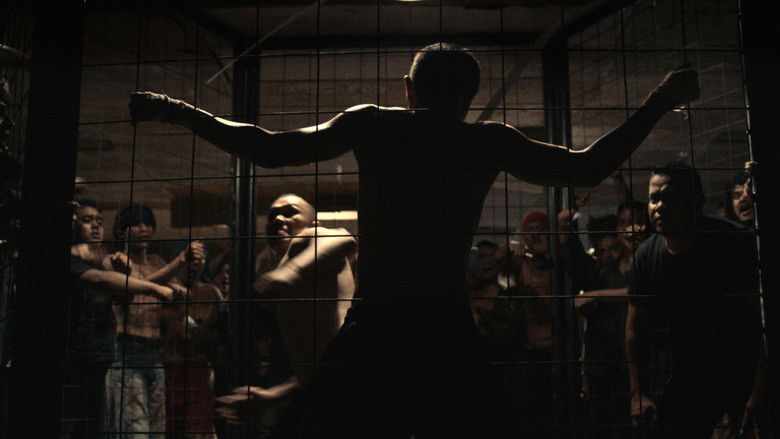 кадр из фильма 27 Steps of May