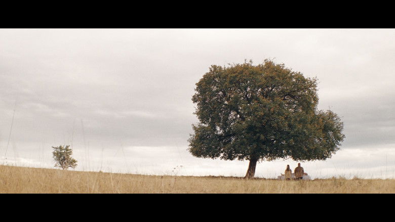 кадр из фильма Стадото