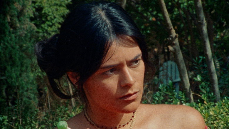 кадр из фильма Everyone Loves Björk