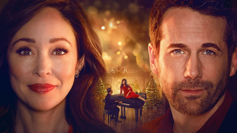 Мы встретились в декабре