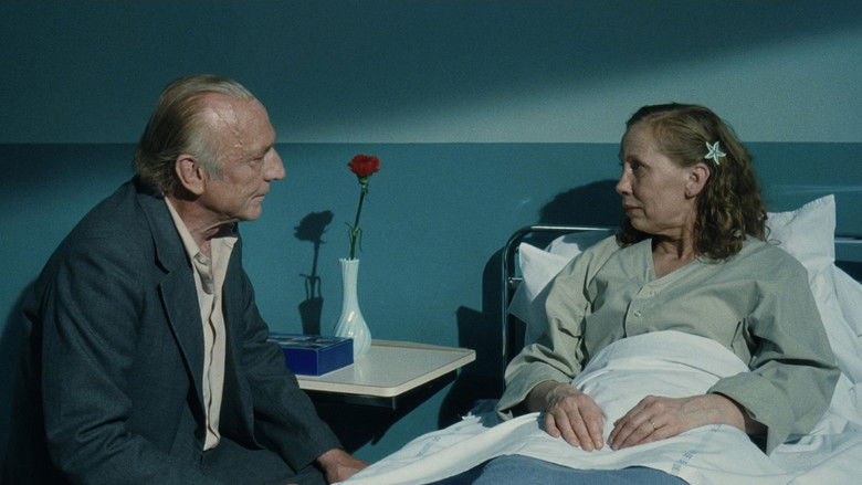 кадр из фильма Гавр