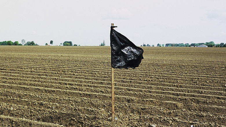 кадр из фильма Folder