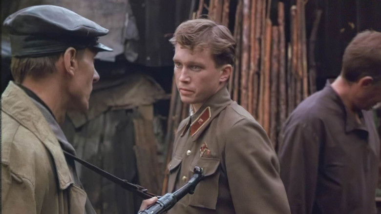 кадр из фильма Перед рассветом