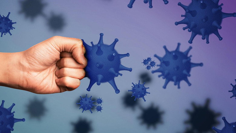 кадр из фильма Unser Immunsystem - Wächter der Gesundheit