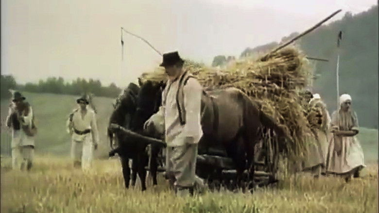 кадр из фильма Жменяки