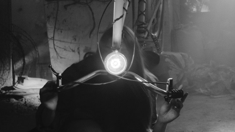 кадр из фильма 13:33