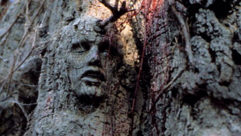 кадр из фильма Страж