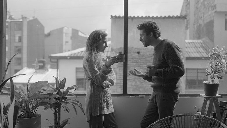 кадр из фильма Los subtítulos