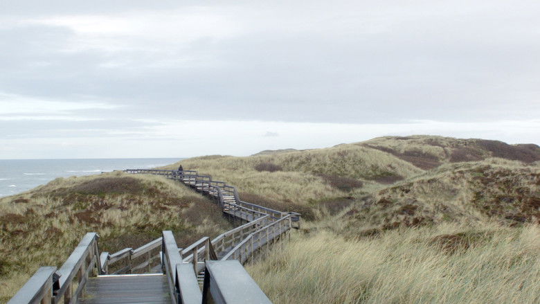 кадр из фильма Drift