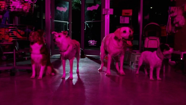 кадр из фильма Play Dead