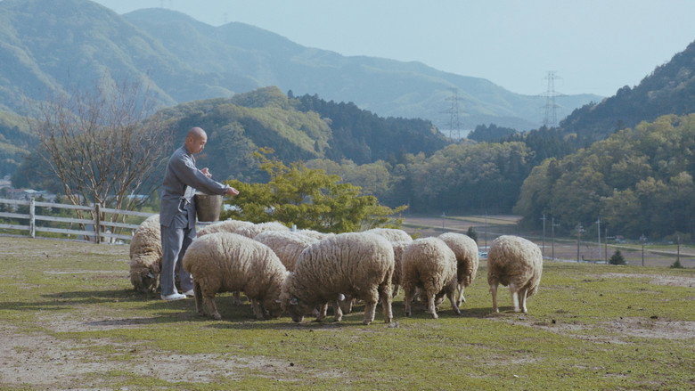 кадр из фильма Crows Are White
