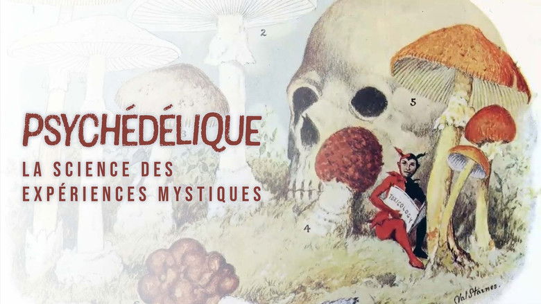 кадр из фильма Psychedelia